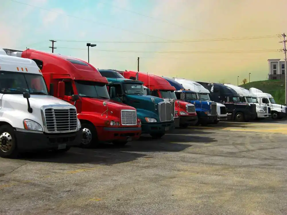 DEDICATED SERVICES